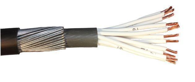 Australian Standard  Multicore + E Armored 	Flexible Control Cable 0.6 / 1kV PVC Insulated PVC Sheathed
