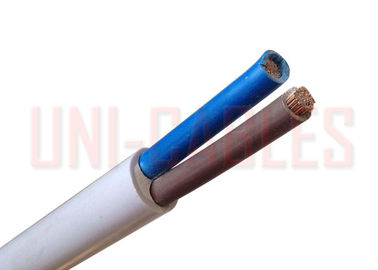 China 450 / 750V RVV PVC Electrical Cable Class 2 Copper Conductor Insulated Sheathed Flexible supplier