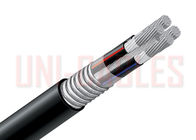 China 4 / C AL 600V XLPE PVC Power Cable , XHHW - 2 AIA Type MC Electrical Cable company